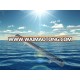 Waimaotong usa dimmable outdoor led lights wall washer 800mm